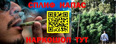 индика Лесосибирск