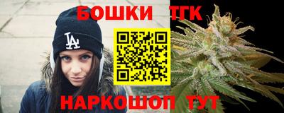 индика Лесосибирск