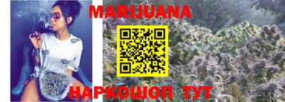 индика Лесосибирск