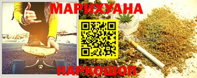 индика Лесосибирск