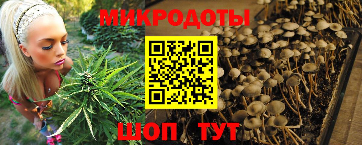 Еманжелинск  Галлюциногенные грибы Cubensis  Вход с VPN 